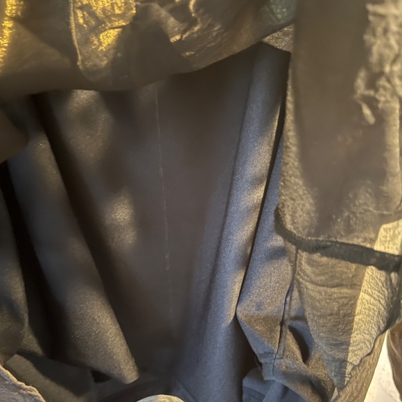 Cupio - Metallic Bronze semi sheer, lined long sleeve blouse - Picture 6 of 11